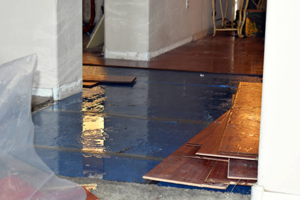 Professional Burst Pipe Cleanup technician working in Kettlersville, OH